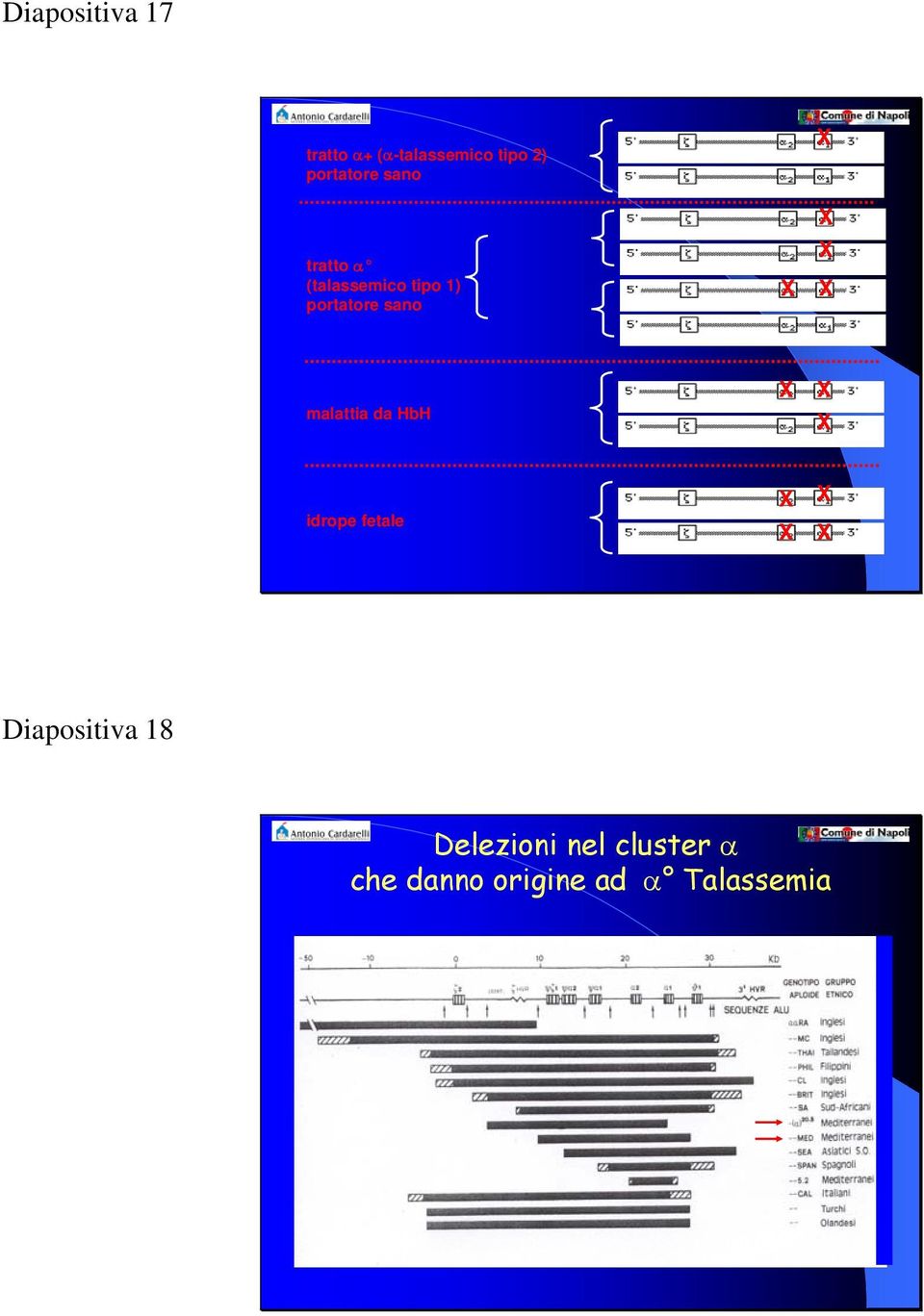 portatore sano malattia da HbH idrope fetale