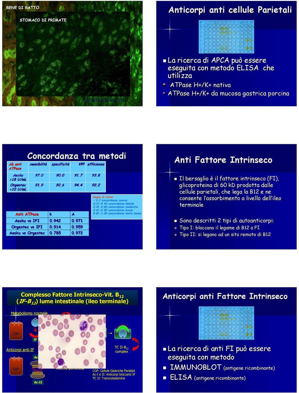 971 Orgentec vs IFI 0.914 0.959 Aesku vs Orgentec 0.785 0.972 Kappa di Cohen < 0.2 concordanza scarsa 0.21-0.40 concordanza debole 0.41-0.60 concordanza moderata 0.61-0.80 concordanza buona 0.81-1.