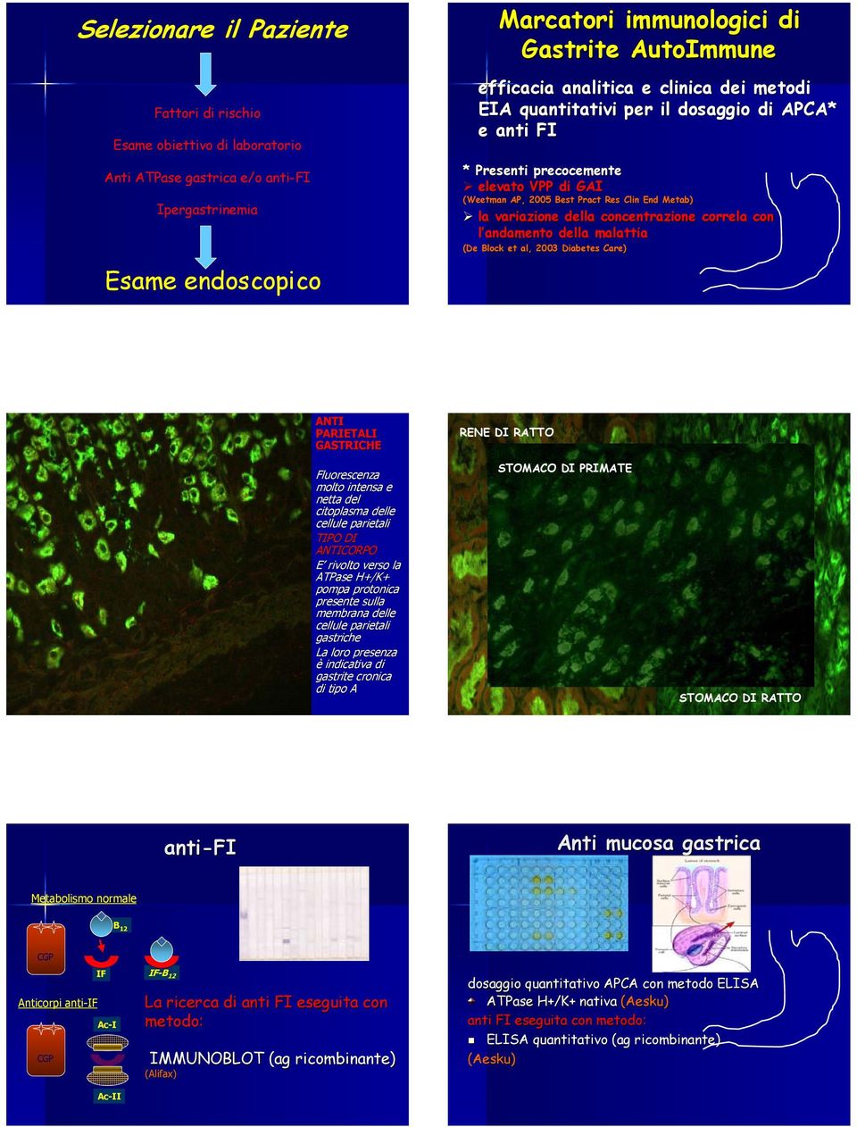 concentrazione correla con l andamento della malattia (De Block et al, 2003 Diabetes Care) ANTI PARIETALI GASTRICHE Fluorescenza molto intensa e netta del citoplasma delle cellule parietali TIPO DI