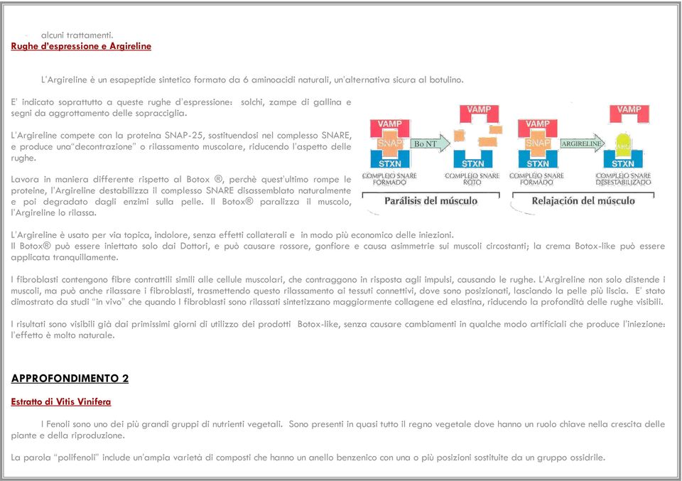 L Argireline compete con la proteina SNAP-25, sostituendosi nel complesso SNARE, e produce una decontrazione o rilassamento muscolare, riducendo l aspetto delle rughe.