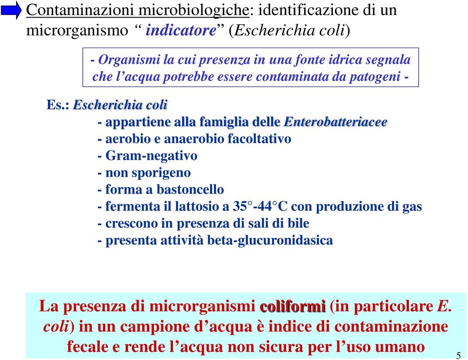 : Escherichia coli - appartiene alla famiglia delle Enterobatteriacee - aerobio e anaerobio facoltativo - Gram-negativo - non sporigeno - forma a bastoncello -