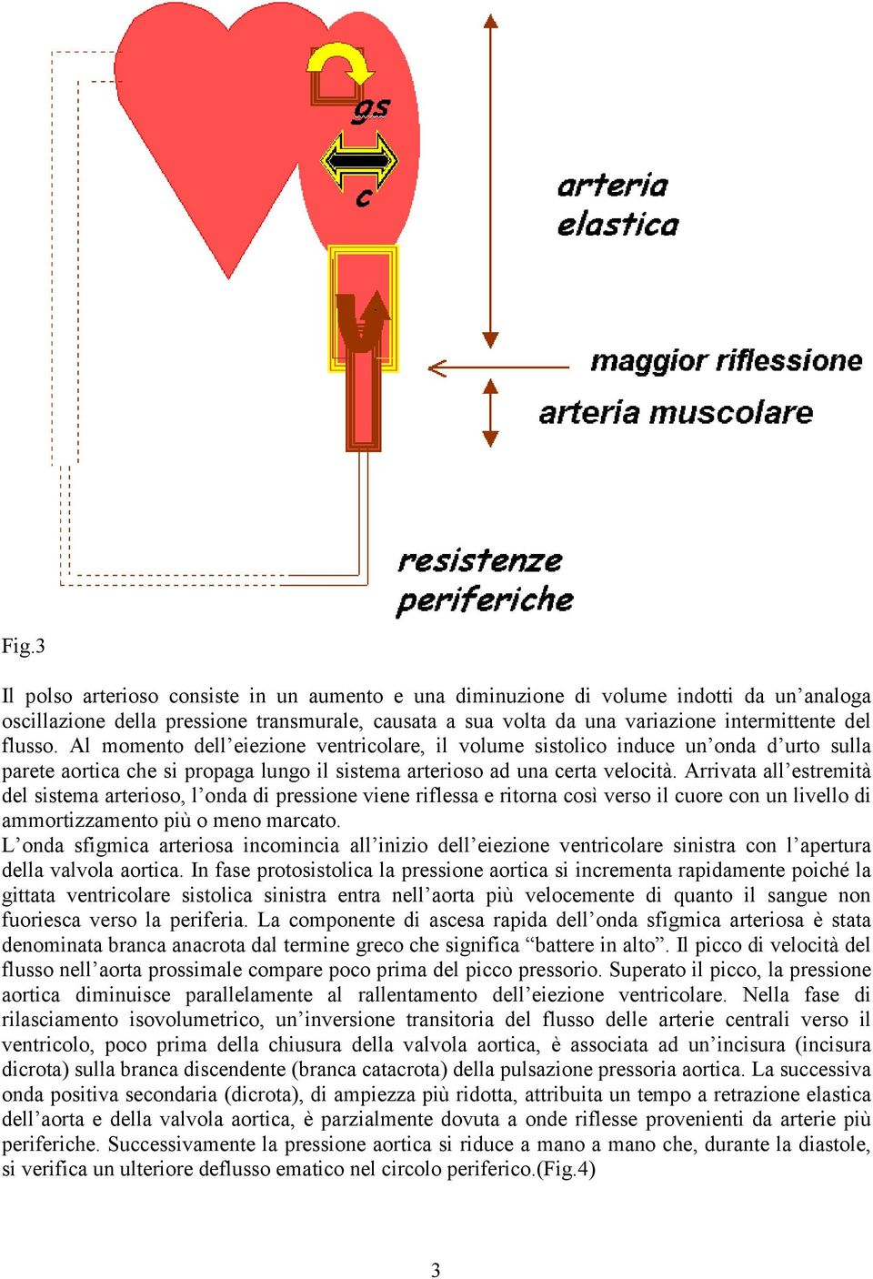 Arrivata all estremità del sistema arterioso, l onda di pressione viene riflessa e ritorna così verso il cuore con un livello di ammortizzamento più o meno marcato.