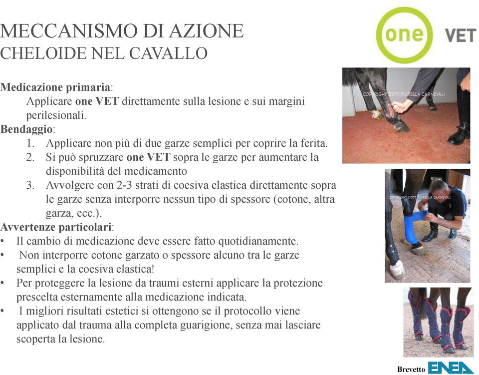 Avvolgere con 2-3 strati di coesiva elastica direttamente sopra le garze senza interporre nessun tipo di spessore (cotone, altra garza, ecc.).