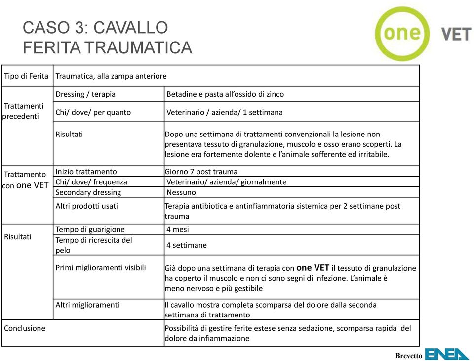 di zinco Veterinario / azienda/ 1 settimana Dopo una settimana di trattamenti convenzionali la lesione non presentava tessuto di granulazione, muscolo e osso erano scoperti.