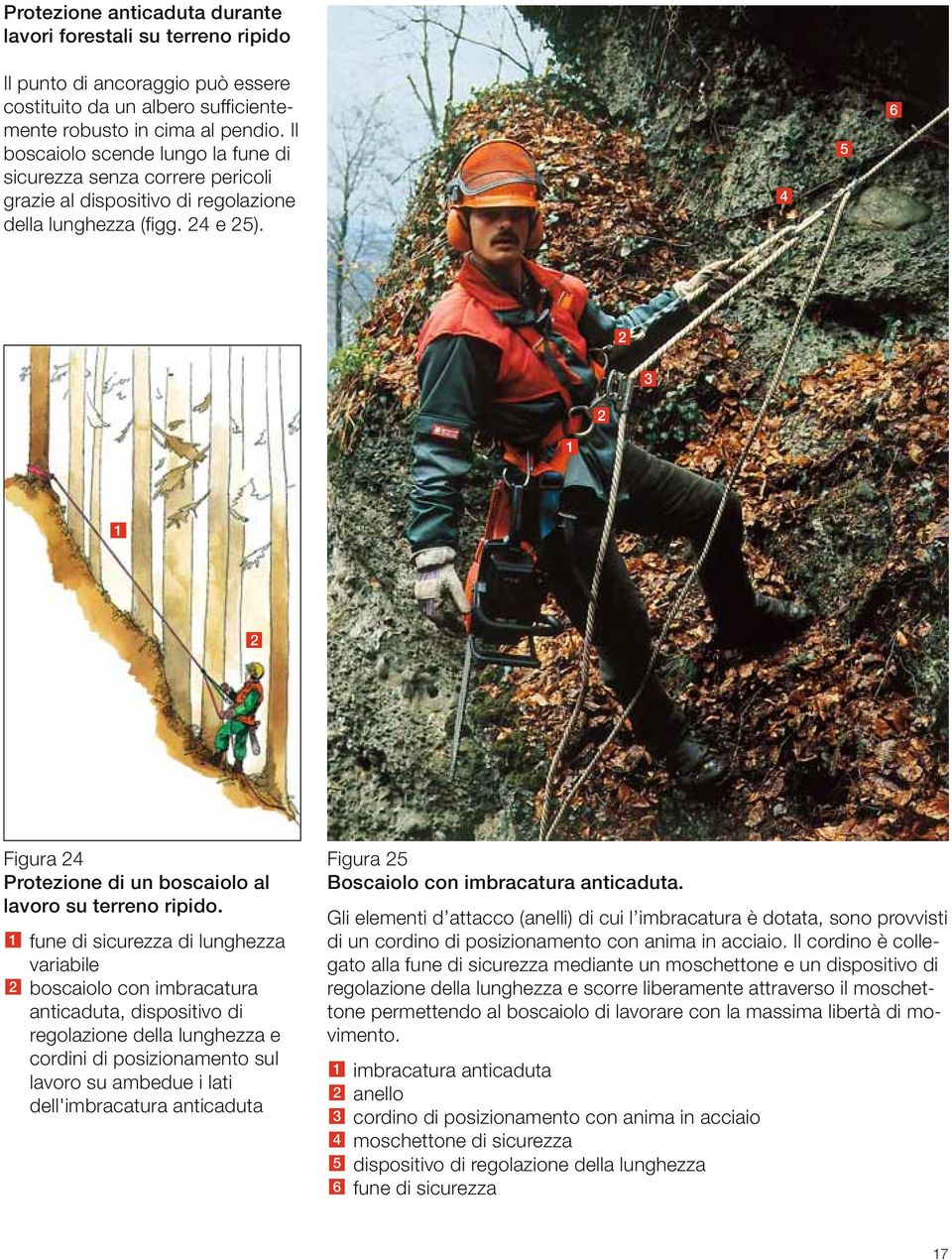 5 6 Figura Protezione di un boscaiolo al lavoro su terreno ripido.