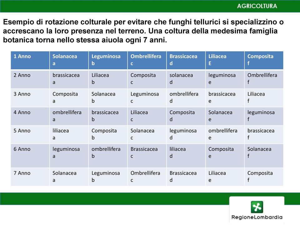 1 Anno Solanacea a Leguminosa b Ombrellifera c Brassicacea d Liliacea E Composita f 2 Anno brassicacea a Liliacea b Composita c solanacea d leguminosa e Ombrellifera f 3 Anno Composita a Solanacea b