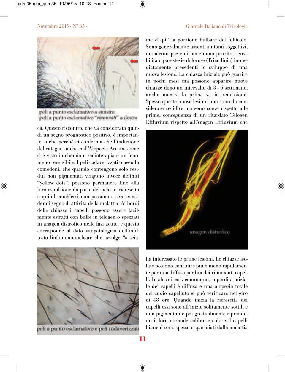 radioterapia è un fenomeno reversibile.