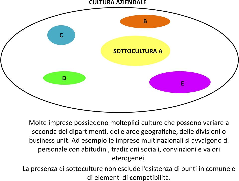 Ad esempio le imprese multinazionali si avvalgono di personale con abitudini, tradizioni sociali,