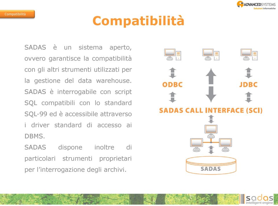 SADAS è interrogabile con script SQL compatibili con lo standard SQL-99 ed è accessibile