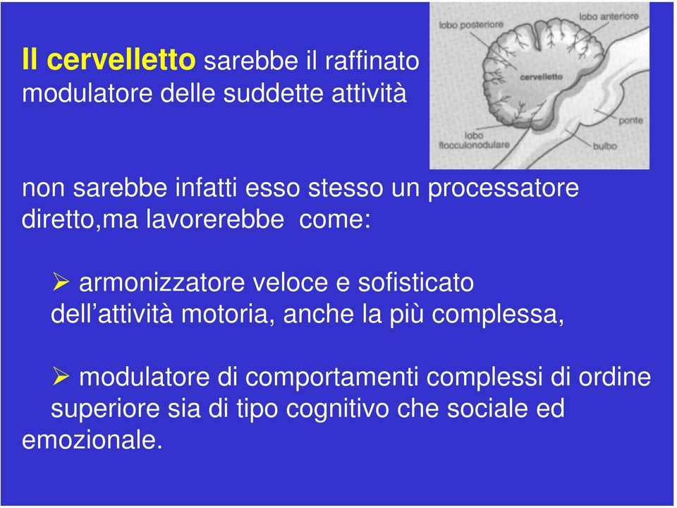 veloce e sofisticato dell attività motoria, anche la più complessa, modulatore di