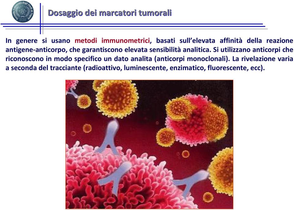 Si utilizzano anticorpi che riconoscono in modo specifico un dato analita (anticorpi