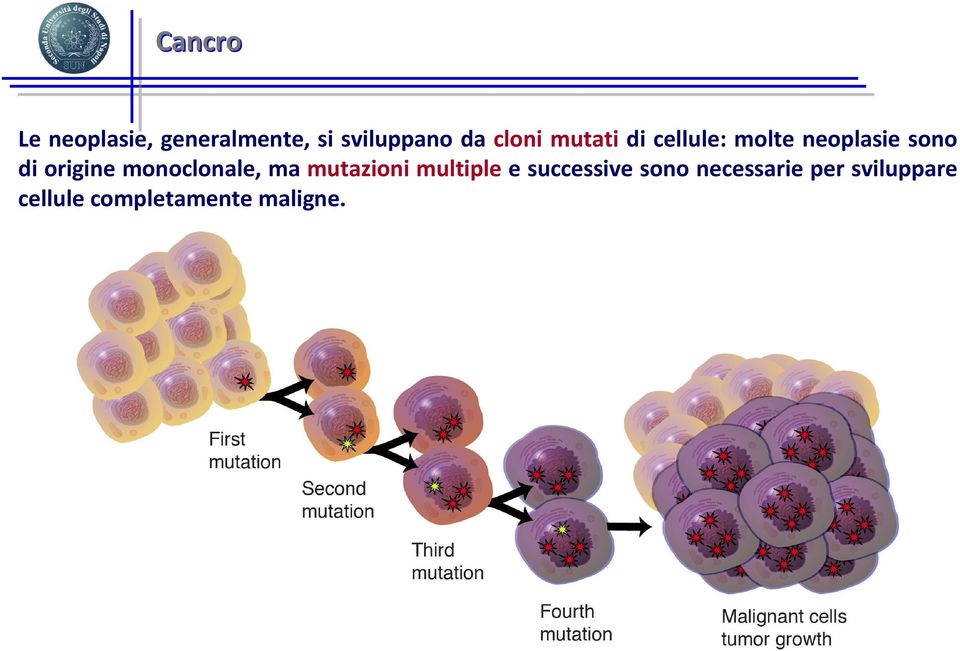 origine monoclonale, ma mutazioni multiple e