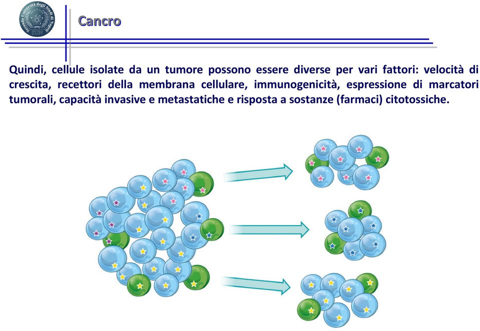 cellulare, immunogenicità, espressione di marcatori tumorali,