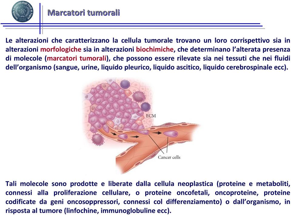 liquido ascitico, liquido cerebrospinale ecc).