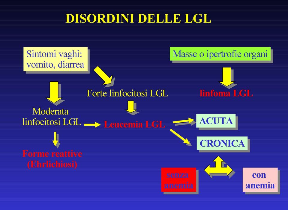 Forme reattive (Ehrlichiosi) Forte linfocitosi LGL