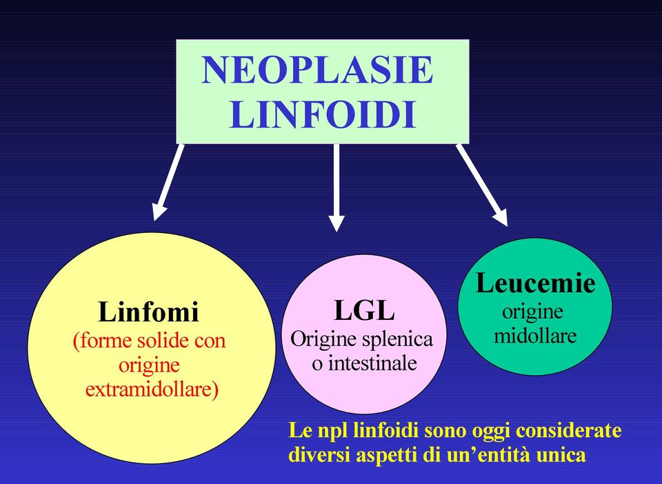 intestinale Leucemie origine midollare Le npl