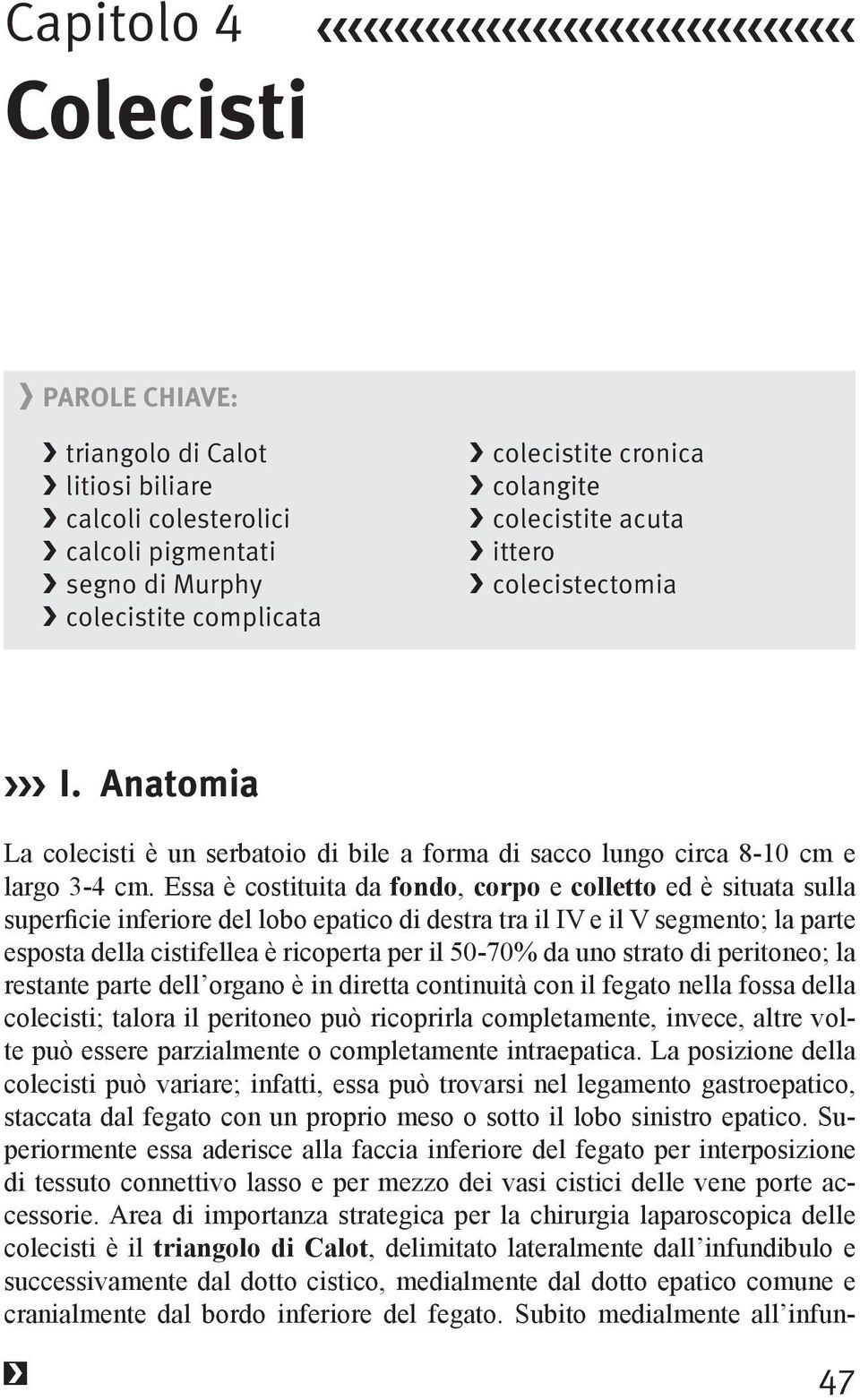 Essa è costituita da fondo, corpo e colletto ed è situata sulla restante parte dell organo è in diretta continuità con il fegato nella fossa della te può essere parzialmente o completamente