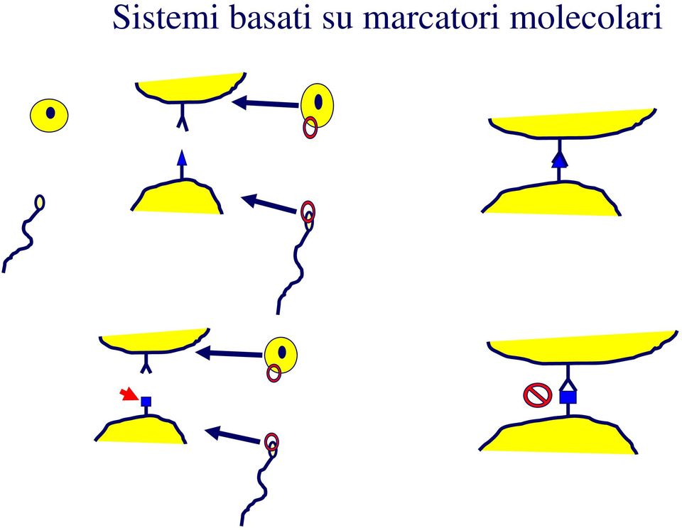 marcatori