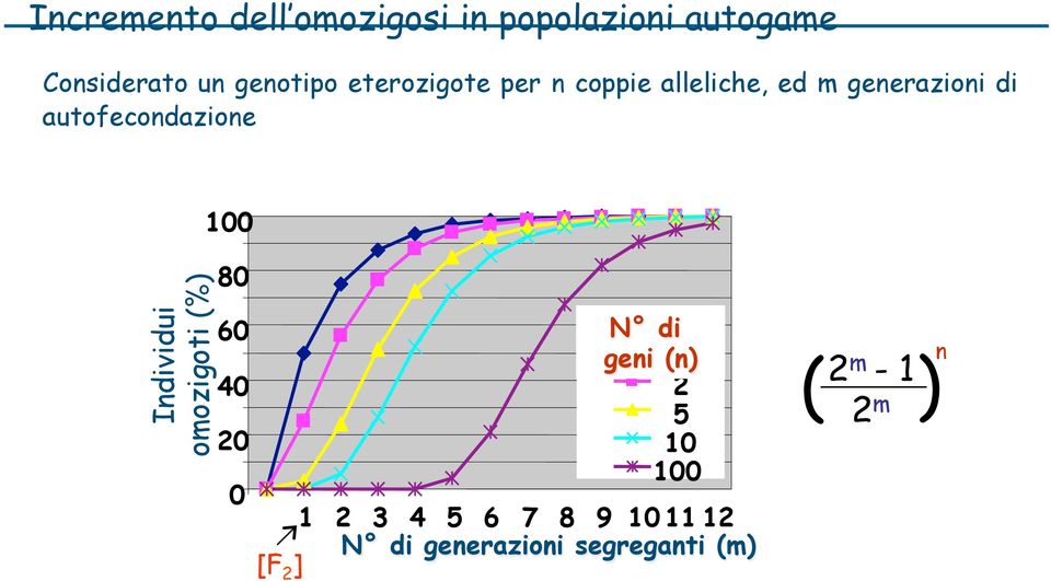 100 Individui omozigoti (%) 80 60 40 20 0 N di geni (n) 1 2 5 10 100 1 2 3