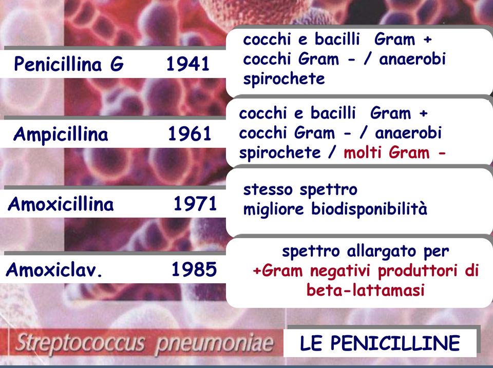 Gram + cocchi Gram - / anaerobi spirochete / molti Gram - stesso spettro migliore