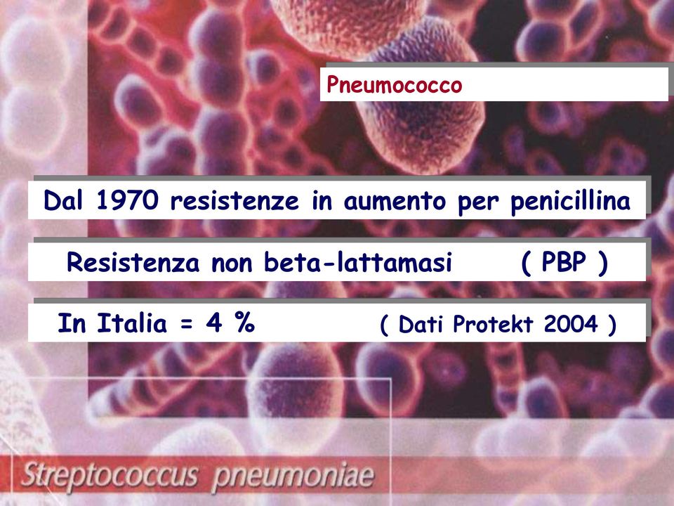 Resistenza non beta-lattamasi (
