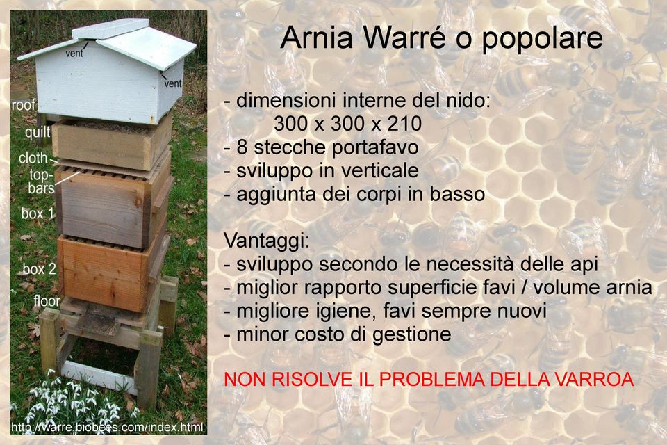 delle api - miglior rapporto superficie favi / volume arnia - migliore igiene, favi sempre