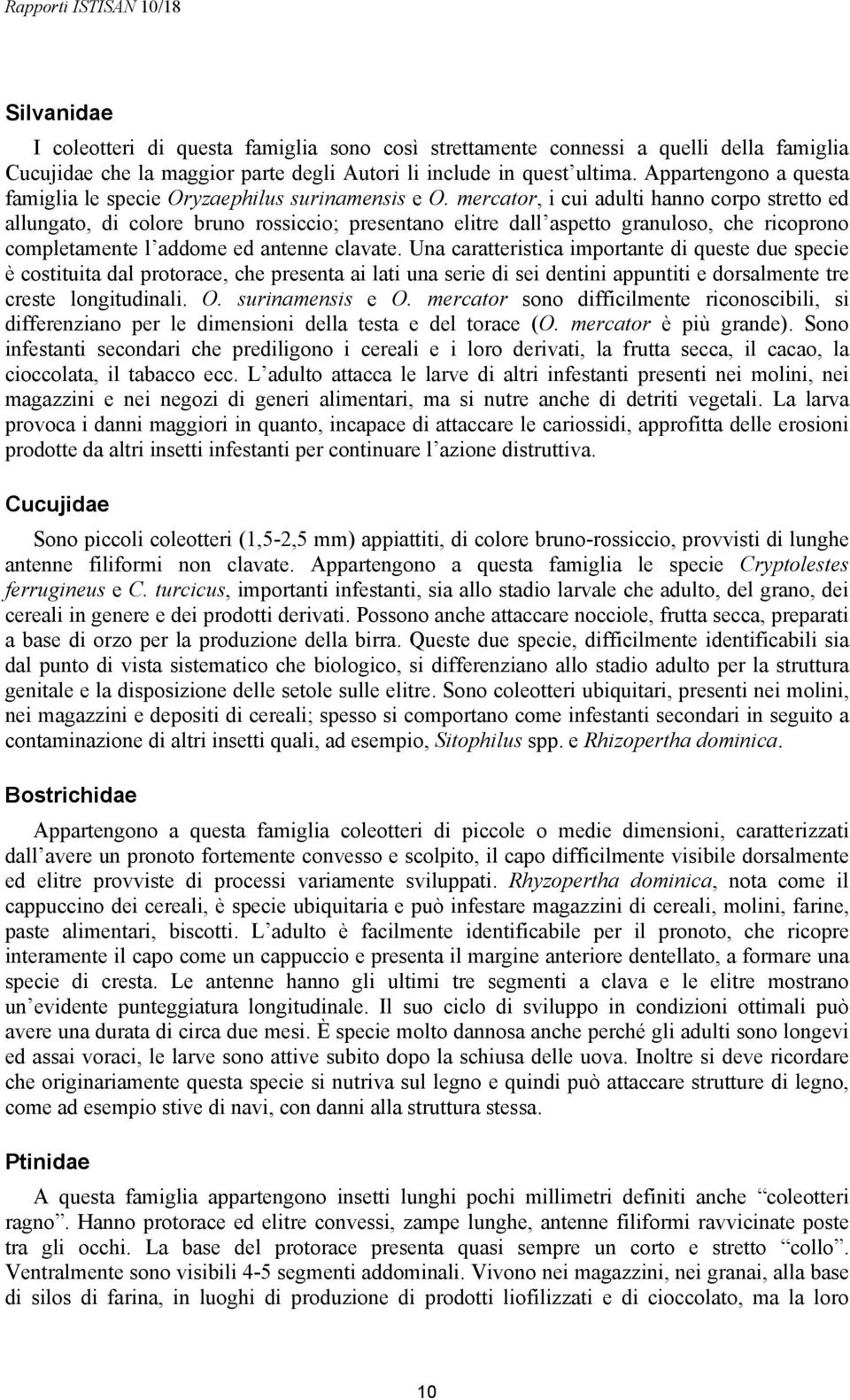 mercator, i cui adulti hanno corpo stretto ed allungato, di colore bruno rossiccio; presentano elitre dall aspetto granuloso, che ricoprono completamente l addome ed antenne clavate.