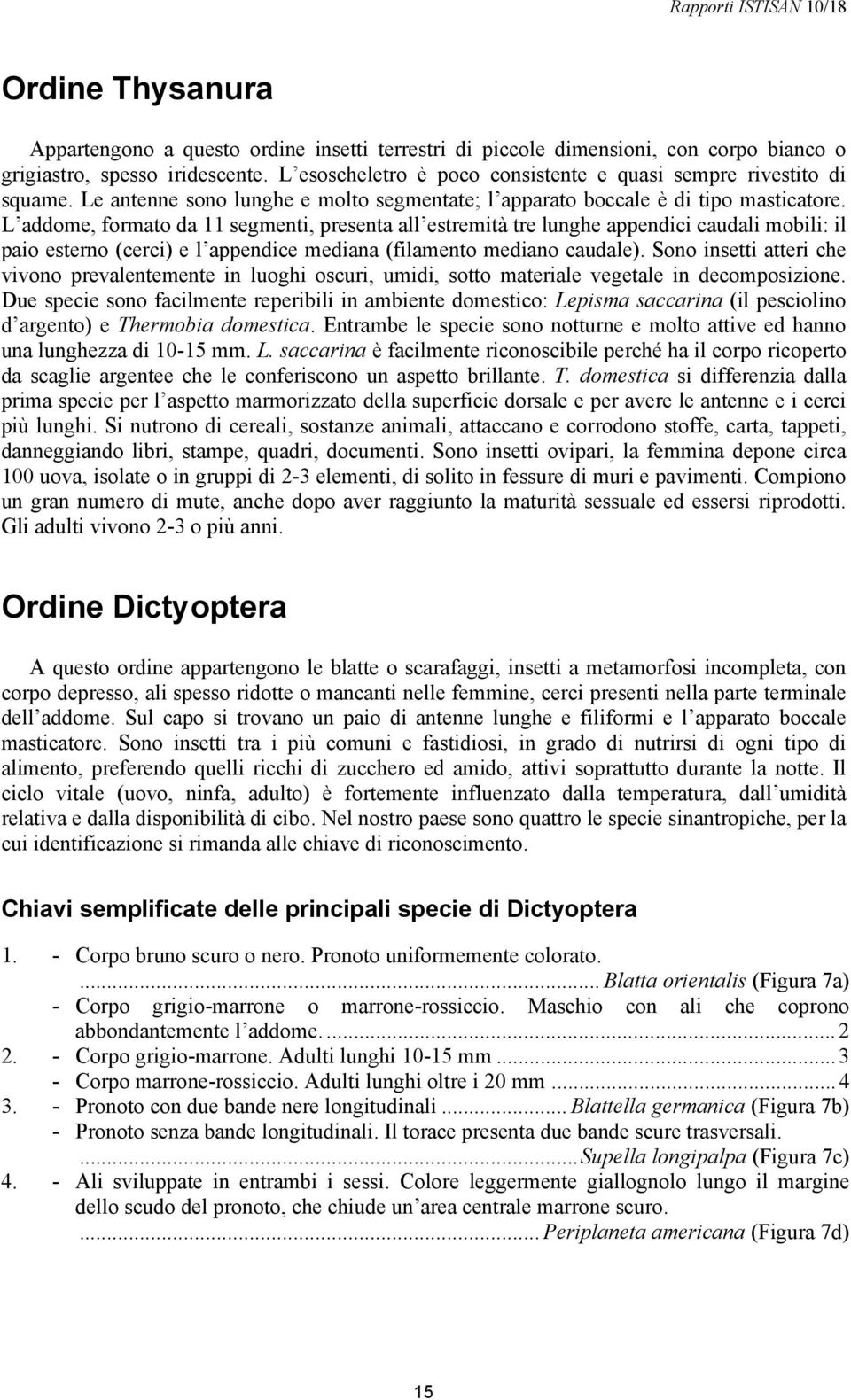 L addome, formato da 11 segmenti, presenta all estremità tre lunghe appendici caudali mobili: il paio esterno (cerci) e l appendice mediana (filamento mediano caudale).