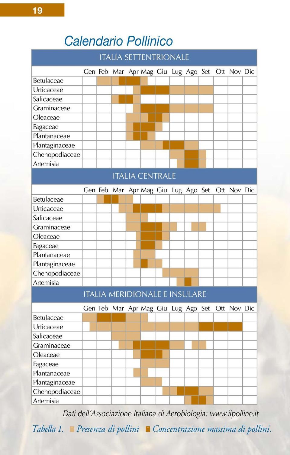 Artemisia ITALIA MERIDIONALE E INSULARE Ott Nov Dic Ott Nov Dic Gen Feb Mar Apr Mag Giu Lug Ago Set Ott Nov Dic Betulaceae Urticaceae Salicaceae Graminaceae Oleaceae Fagaceae