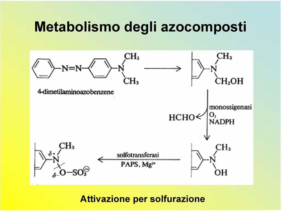 azocomposti