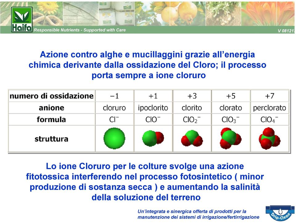 le colture svolge una azione fitotossica interferendo nel processo fotosintetico (