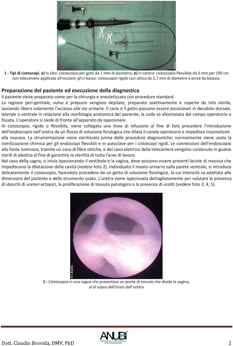 mm di diametro e pinze da biopsia. Preparazione del paziente ed esecuzione della diagnostica Il paziente viene preparato come per la chirurgia e anestetizzato con procedure standard.