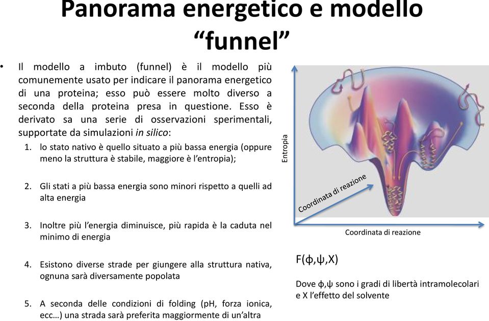 lo stato nativo è quello situato a più bassa energia (oppure meno la struttura è stabile, maggiore è l entropia); 2. Gli stati a più bassa energia sono minori rispetto a quelli ad alta energia 3.