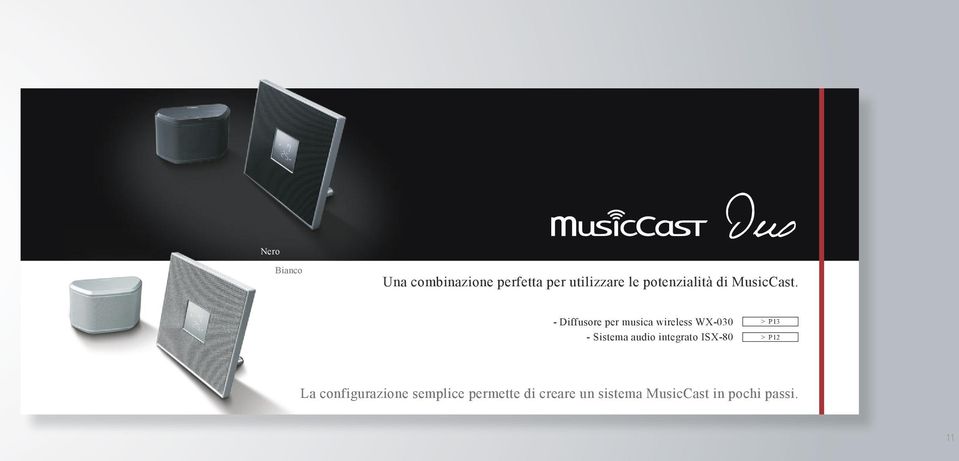 - Diffusore per musica wireless WX-030 - Sistema audio