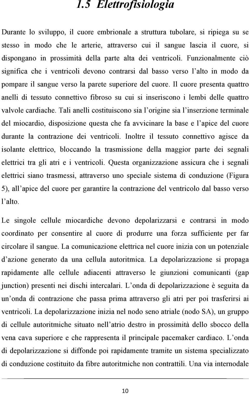 Il cuore presenta quattro anelli di tessuto connettivo fibroso su cui si inseriscono i lembi delle quattro valvole cardiache.