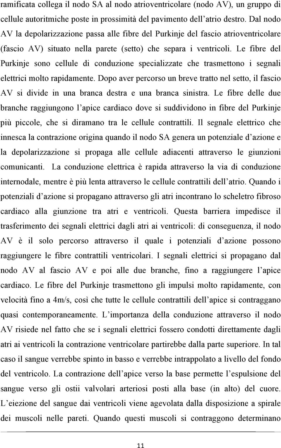 Le fibre del Purkinje sono cellule di conduzione specializzate che trasmettono i segnali elettrici molto rapidamente.