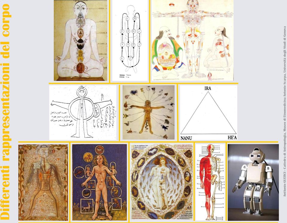 Antropologia, Museo di Etnomedicina