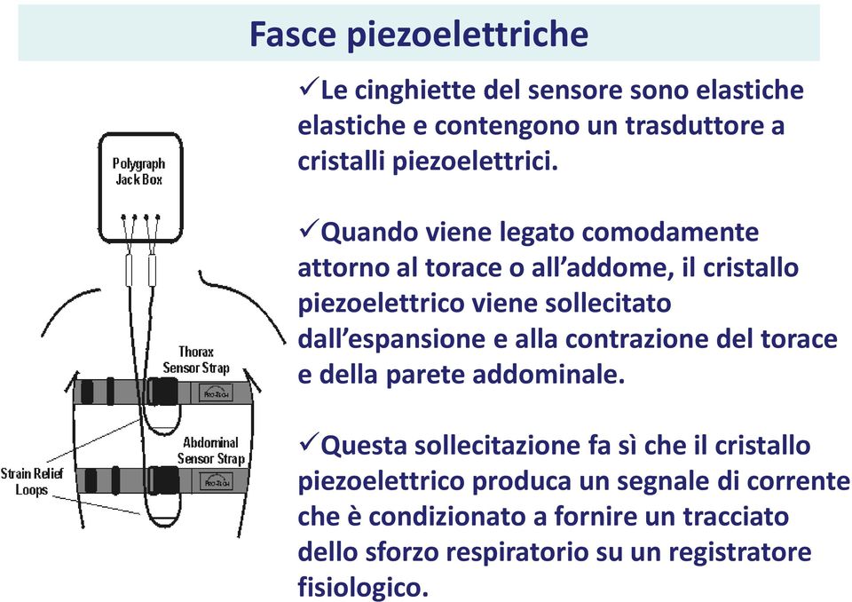 Quando viene legato comodamente attorno al torace o all addome, il cristallo piezoelettrico viene sollecitato dall espansione