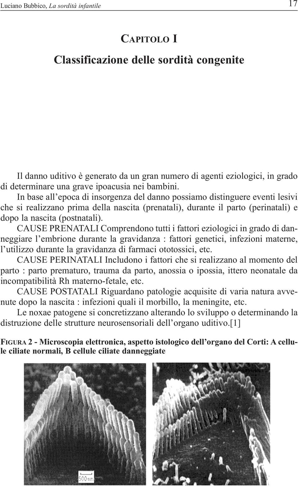 In base all epoca di insorgenza del danno possiamo distinguere eventi lesivi che si realizzano prima della nascita (prenatali), durante il parto (perinatali) e dopo la nascita (postnatali).