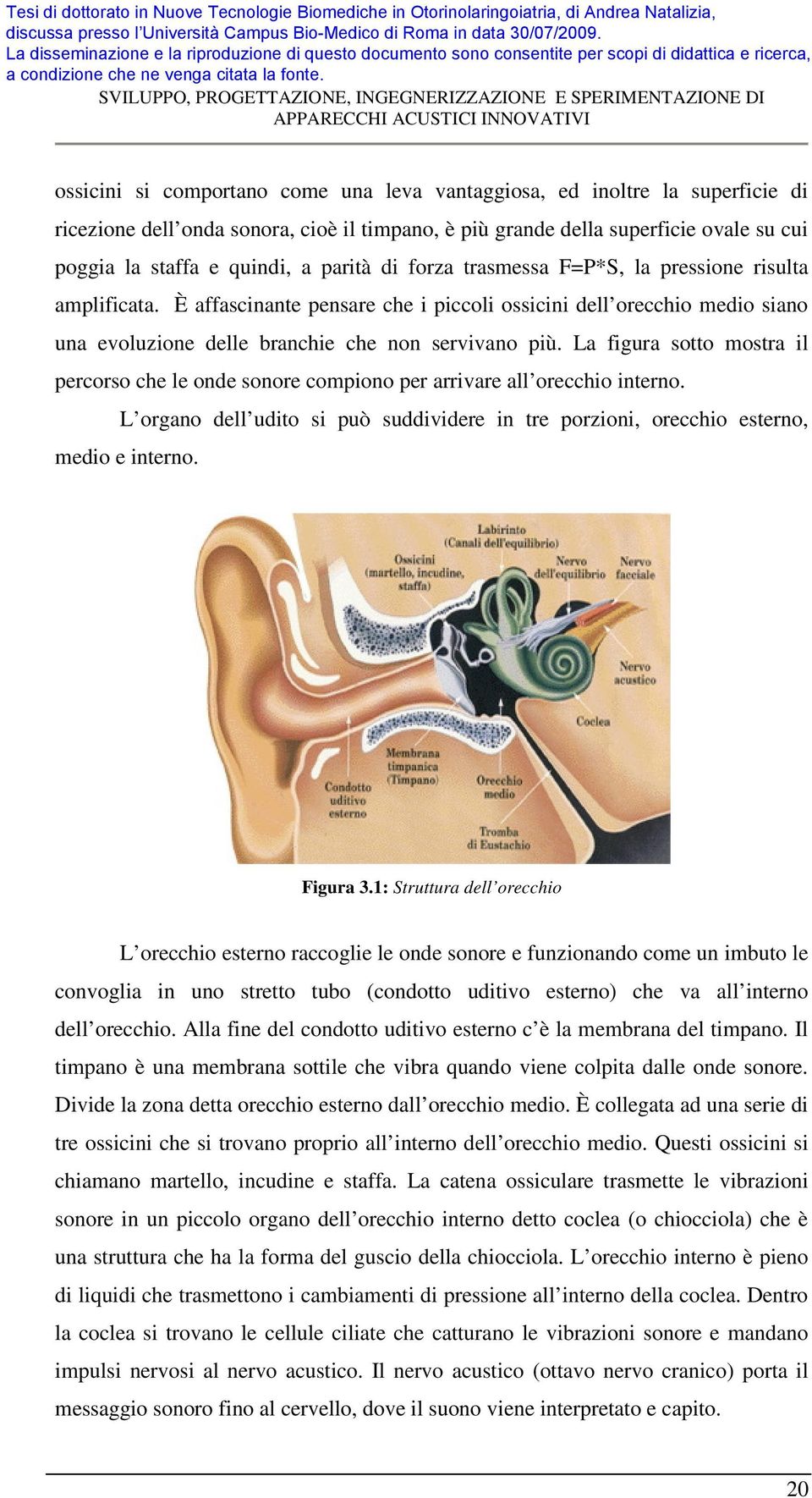 La figura sotto mostra il percorso che le onde sonore compiono per arrivare all orecchio interno. L organo dell udito si può suddividere in tre porzioni, orecchio esterno, medio e interno. Figura 3.