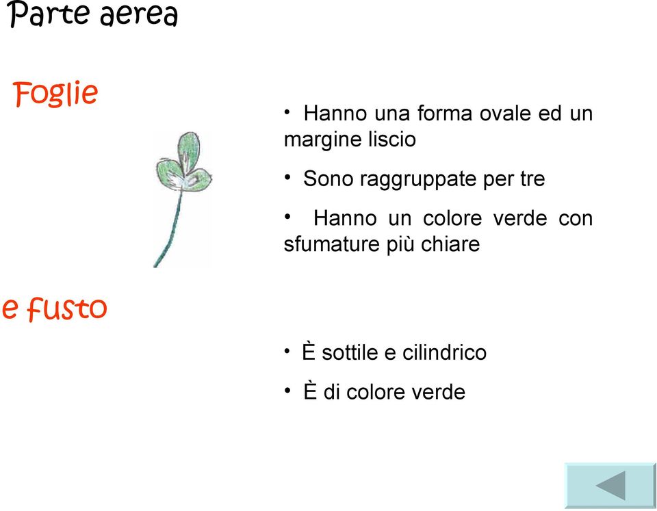 Hanno un colore verde con sfumature più