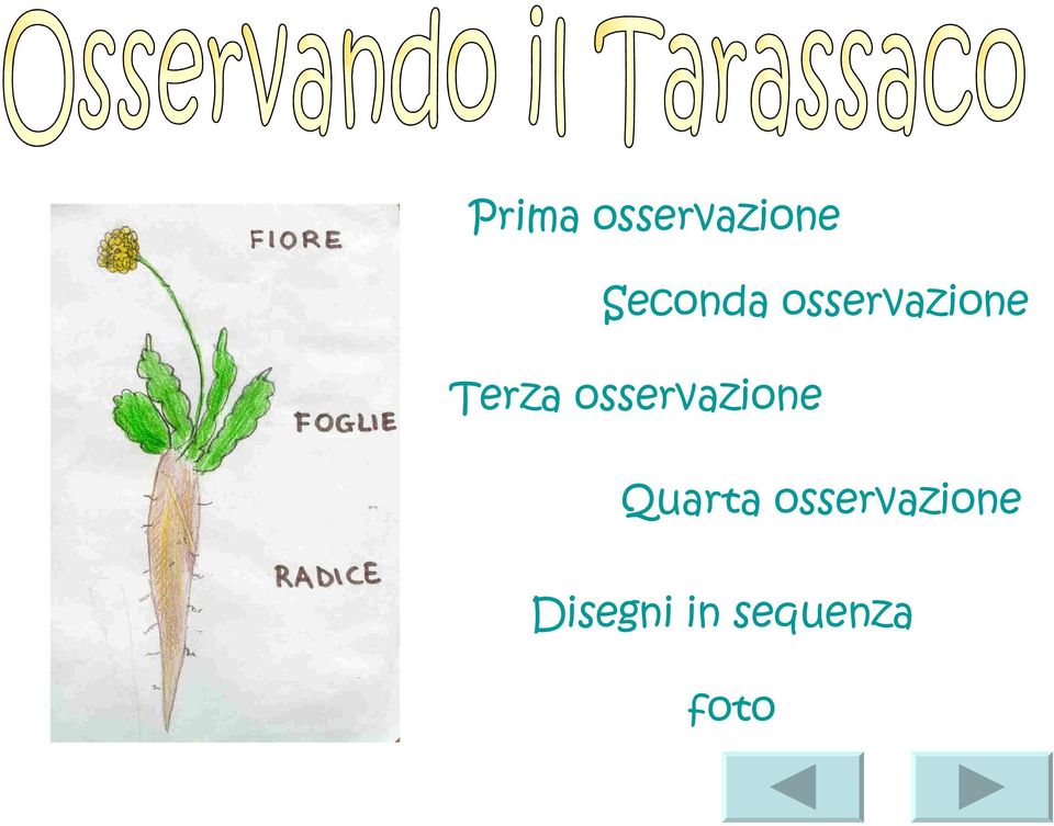 Terza osservazione Quarta