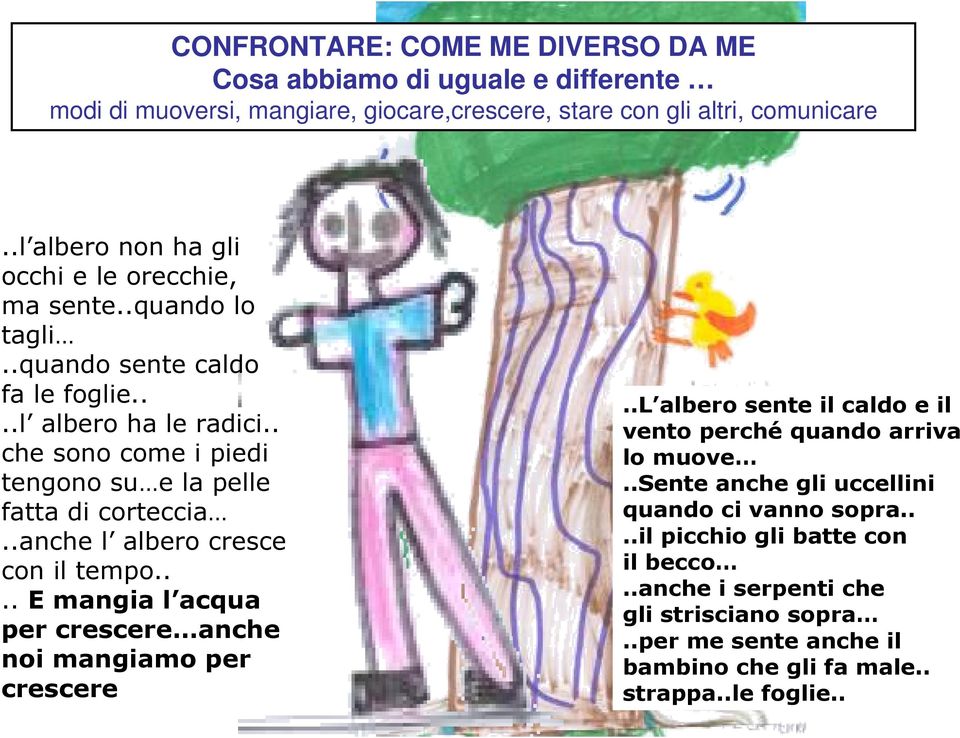 . che sono come i piedi tengono su e la pelle fatta di corteccia..anche l albero cresce con il tempo.... E mangia l acqua per crescere anche noi mangiamo per crescere.