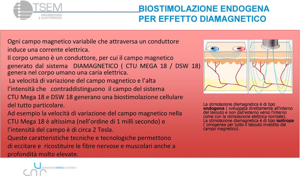 La velocità di variazione del campo magnetico e l alta l intensità che contraddistinguono il campo del sistema CTU Mega 18 e DSW 18 generano una biostimolazione cellulare del tutto particolare.