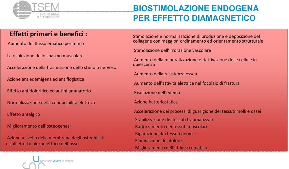 a livello della membrana degli osteoblasti e sull effetto piezoelettrico dell osso Stimolazione e normalizzazione di produzione e deposizione del collagene con maggior ordinamento ed orientamento