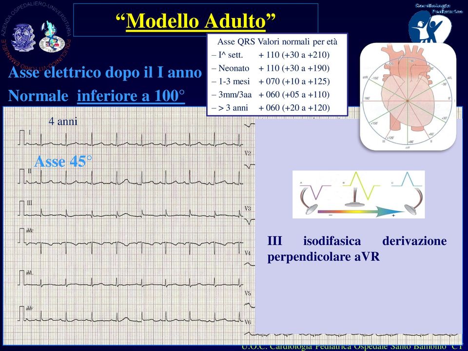 + 110 (+30 a +210) Neonato + 110 (+30 a +190) 1-3 mesi + 070 (+10 a +125)