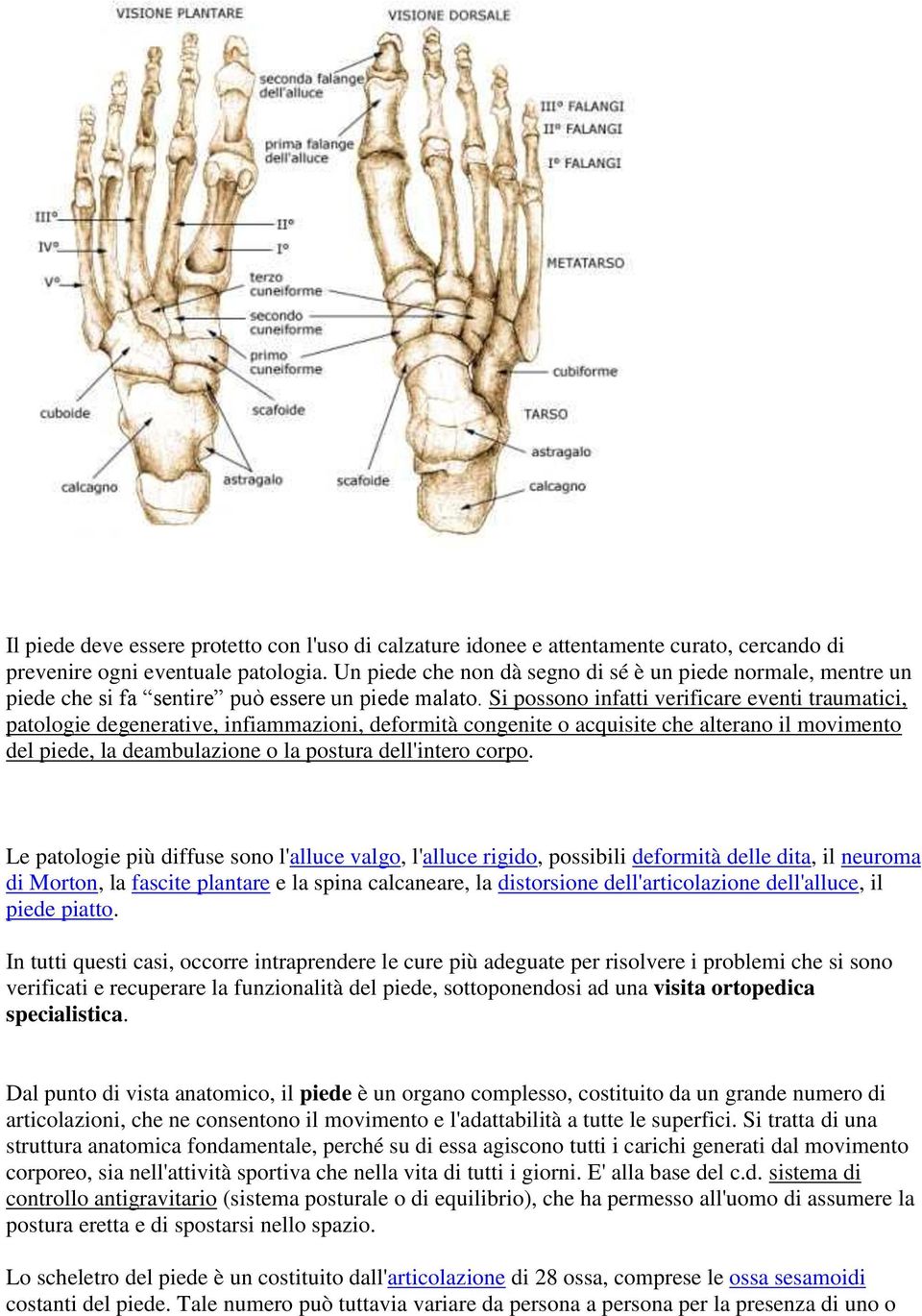 Si possono infatti verificare eventi traumatici, patologie degenerative, infiammazioni, deformità congenite o acquisite che alterano il movimento del piede, la deambulazione o la postura dell'intero