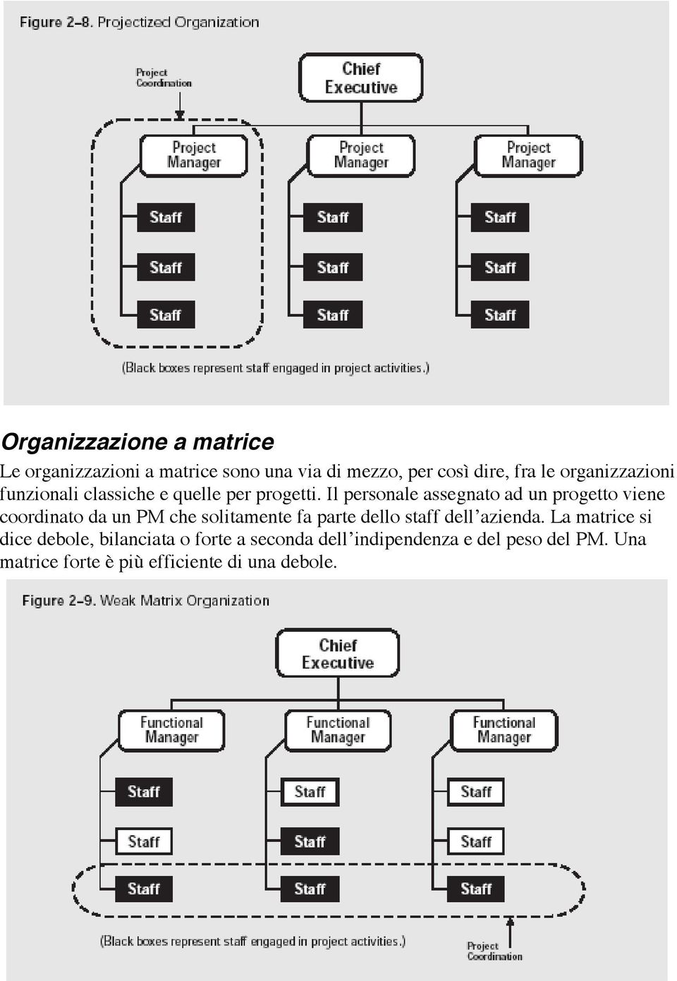 Il personale assegnato ad un progetto viene coordinato da un PM che solitamente fa parte dello staff