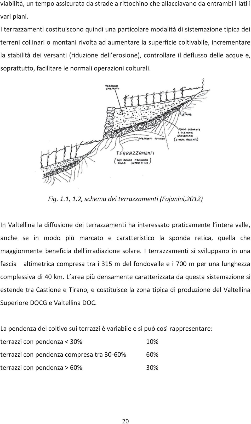 versanti (riduzione dell erosione), controllare il deflusso delle acque e, soprattutto, facilitare le normali operazioni colturali. Fig. 1.1, 1.