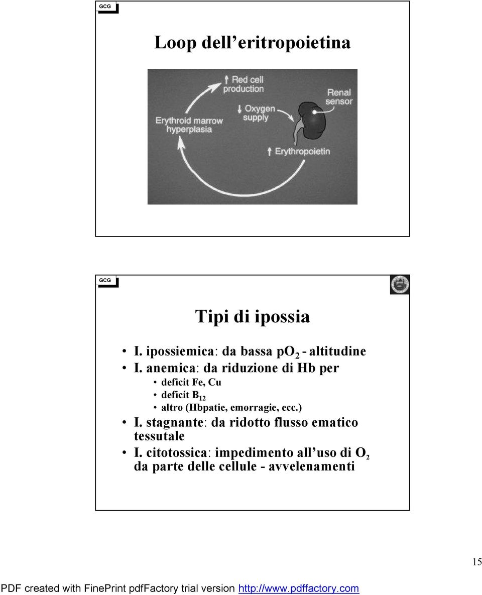 anemica: da riduzione di Hb per deficit Fe, Cu deficit B 12 altro (Hbpatie,